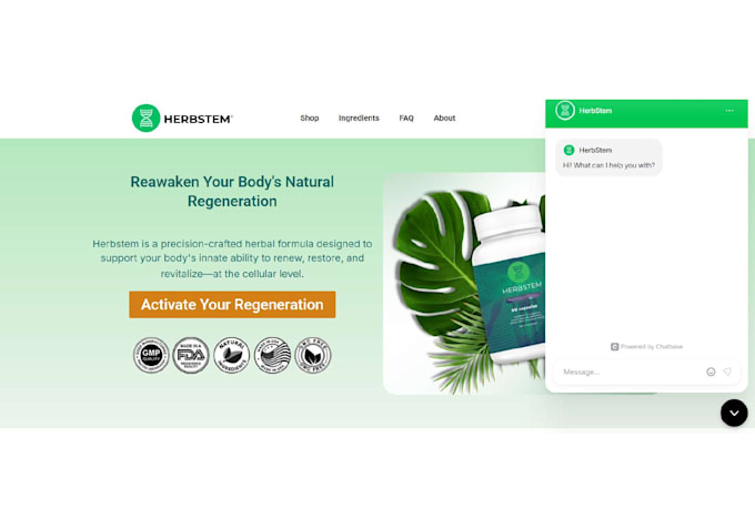 build an ai chatbot for your website